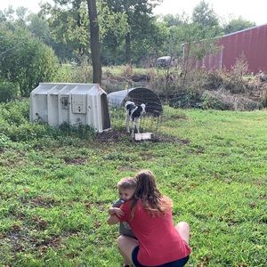 Meet your Posher, Sam